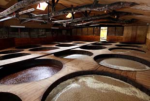 たまごかけ醤油　寺岡有機醸造