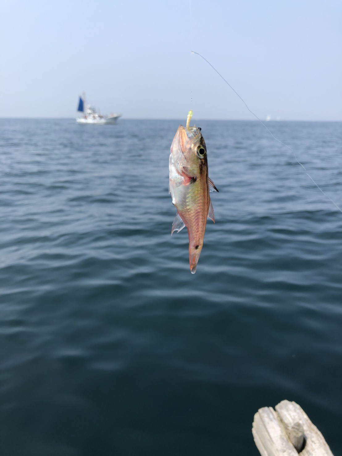 船舶免許　ボート免許　水上バイク免許　船舶免許千葉　船舶免許東京　船舶免許横浜　船舶免許埼玉　船舶免許神奈川
