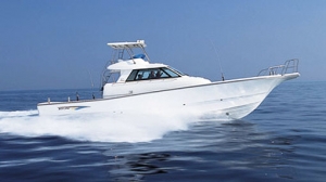 YANMARボート　ヤンマーボート　船舶免許東京　船舶免許横浜　船舶免許愛知　船舶免許大阪　船舶免許広島