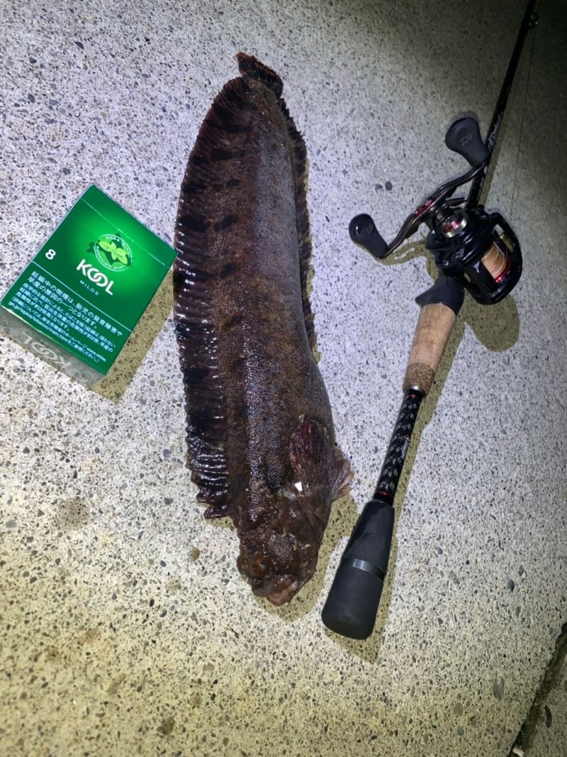 フサギンポ　ボートフィッシング　マリンライセンスロイヤル　