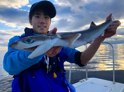 アドアブラザメ　深海魚　マリンライセンスロイヤル　船舶免許　ボート免許　西野さん　深海魚ハンター