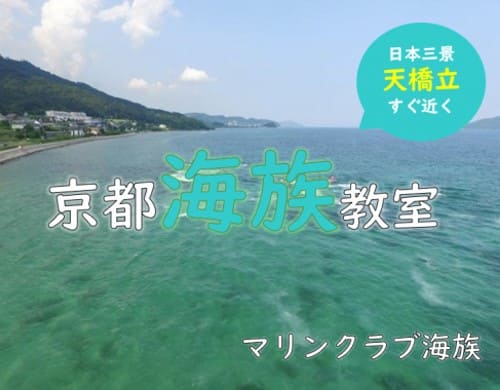 京都 マリンクラブ海族の詳細