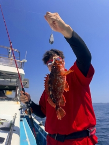 えいあん丸　マリンライセンスロイヤル