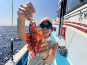 えいあん丸　マリンライセンスロイヤル